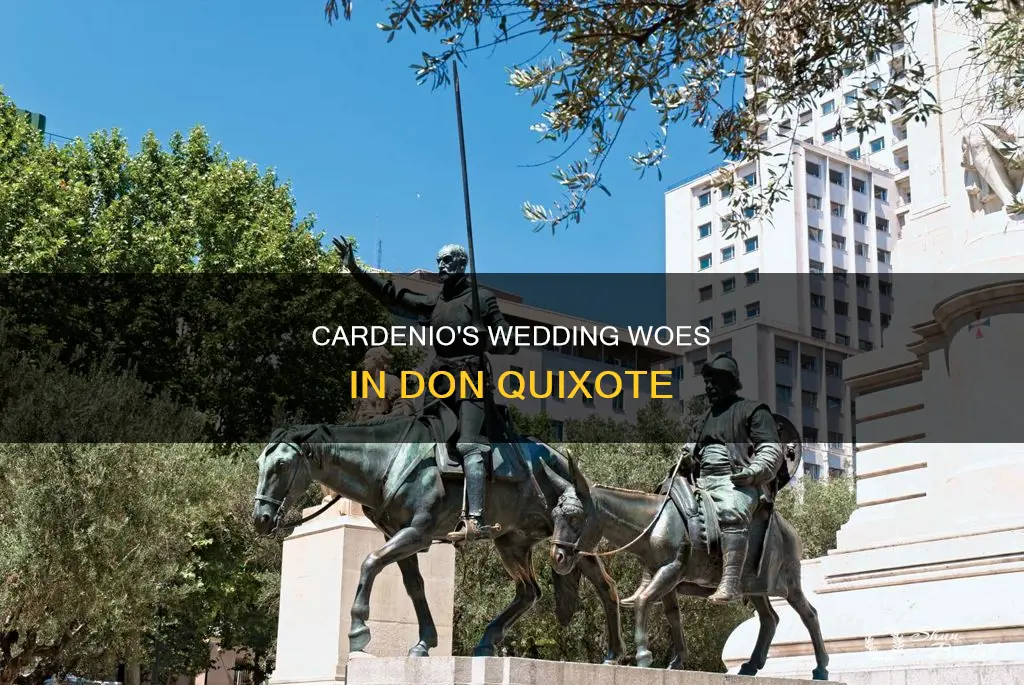 what chapter is cardenio at luscinda wedding in don quijote