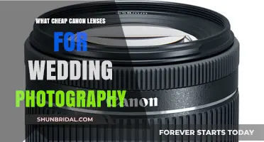 Best Budget Canon Lenses for Wedding Photography