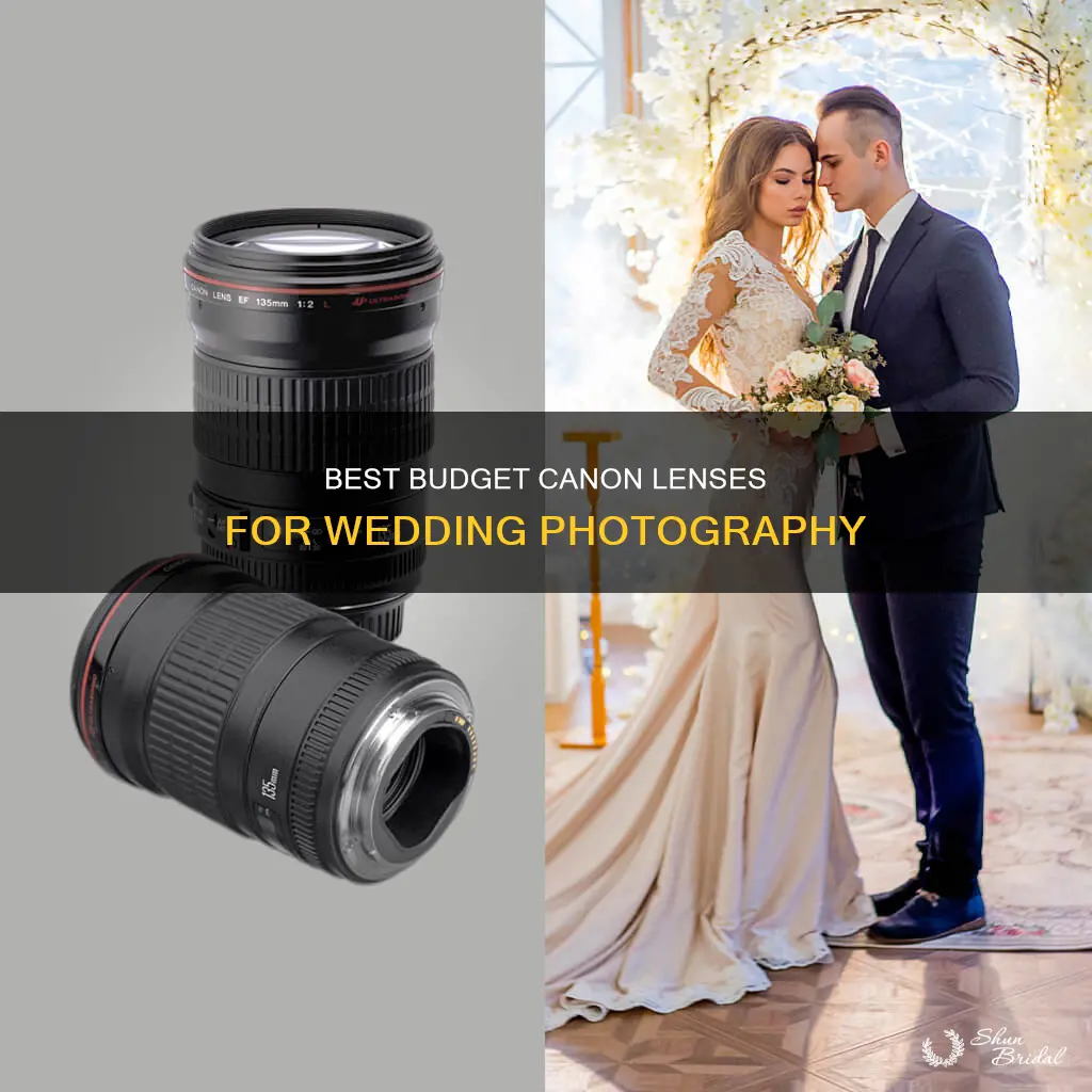 what cheap canon lenses for wedding photography