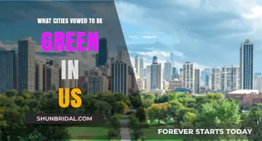 US Cities Leading the Charge: Vowing a Greener Future