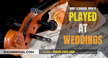 Classical Wedding Songs: Choosing the Perfect Melody