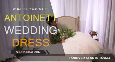Marie Antoinette's Wedding Dress: What Color Was It?