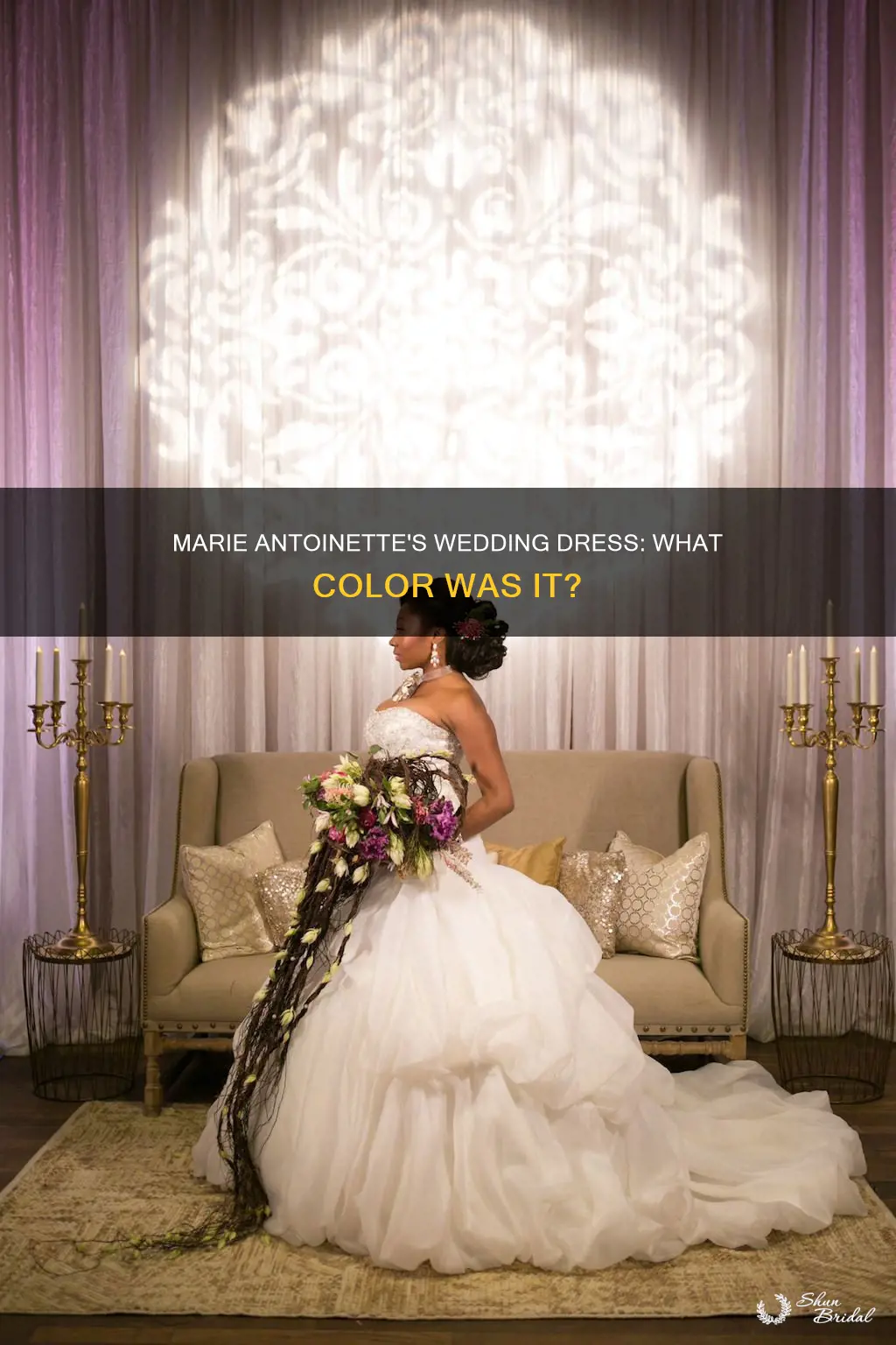 what clor was marie antoinette wedding dress