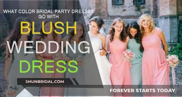 Blush Wedding Gowns: What Colors Complement Your Bridesmaids?