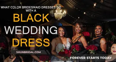 Bridesmaid Dress Colors to Compliment Your Black Wedding Gown