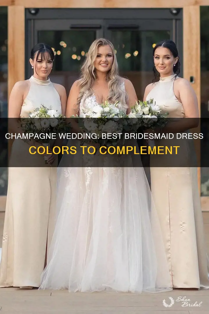 what color bridesmaid dresses go with champagne wedding dress