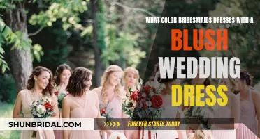 Bridesmaids' Dress Colors to Compliment a Blush Wedding Gown