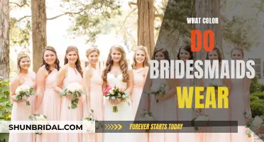 Bridesmaids' Color Coordination: What Should They Wear?