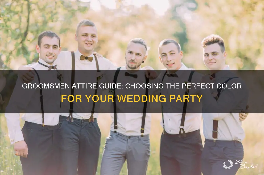 what color do the groomsmen wear