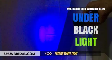 Does Wet Mold Glow Under Black Light? Unveiling the Truth