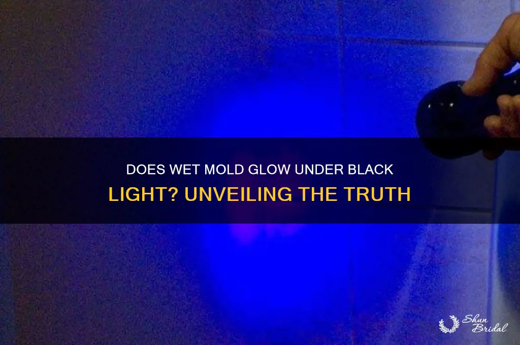 what color does wed mold glow under black light