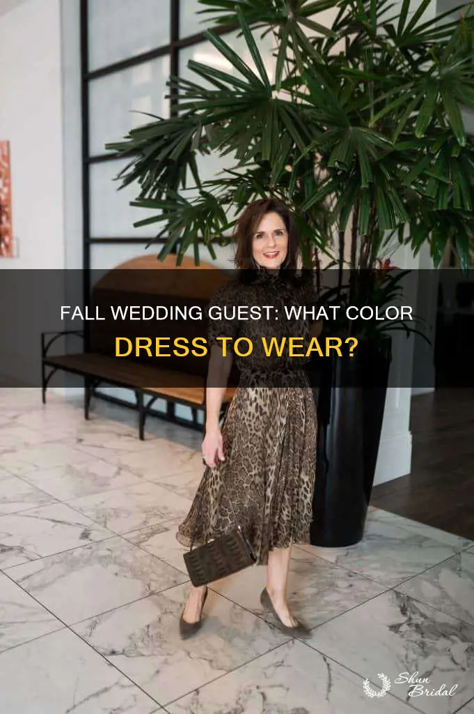 what color dress do you wear to a november wedding