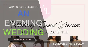 Evening Wedding Guest: Choosing the Right Dress Color