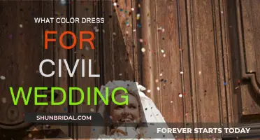 Civil Wedding Dress Colors: What to Wear