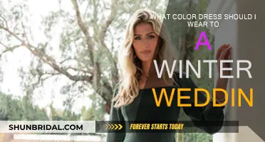 Winter Wedding Guest: Choosing the Perfect Dress Color