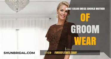Elegant Options: Choosing the Perfect Dress for the Mother of the Groom