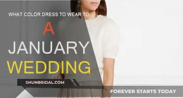Winter Wedding Guest: Choosing the Perfect Dress Color