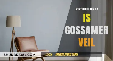 Unveiling the Color Family of Gossamer Veil: A Delicate Exploration