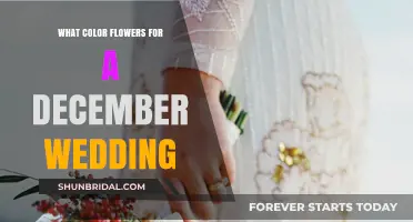 Winter Wedding Flowers: Choosing the Perfect December Colors