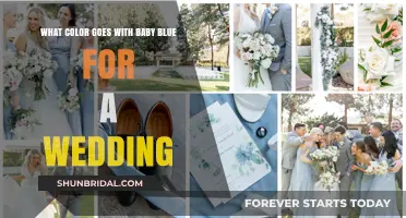 Elegant Baby Blue Wedding Color Combinations: Perfect Pairings for Your Big Day