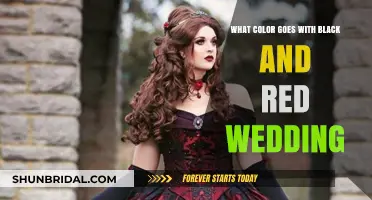Elegant Black and Red Wedding: Perfect Color Combinations to Complement