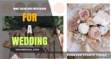 Blush Wedding Palette: Perfect Color Combinations for Your Big Day