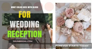 Blush Weddings: Color Palettes to Complement Blush Tones