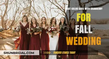 Cranberry Elegance: Perfect Fall Wedding Color Combinations to Inspire