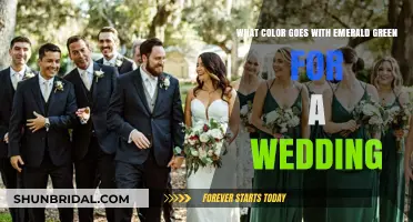 Elegant Emerald Green Wedding Color Combinations for a Timeless Celebration
