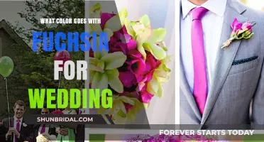 Perfect Wedding Color Combos: Fuchsia Pairings for a Stunning Celebration