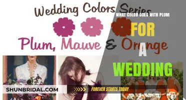 Elegant Plum Wedding Color Combinations: Perfect Pairings for Your Big Day