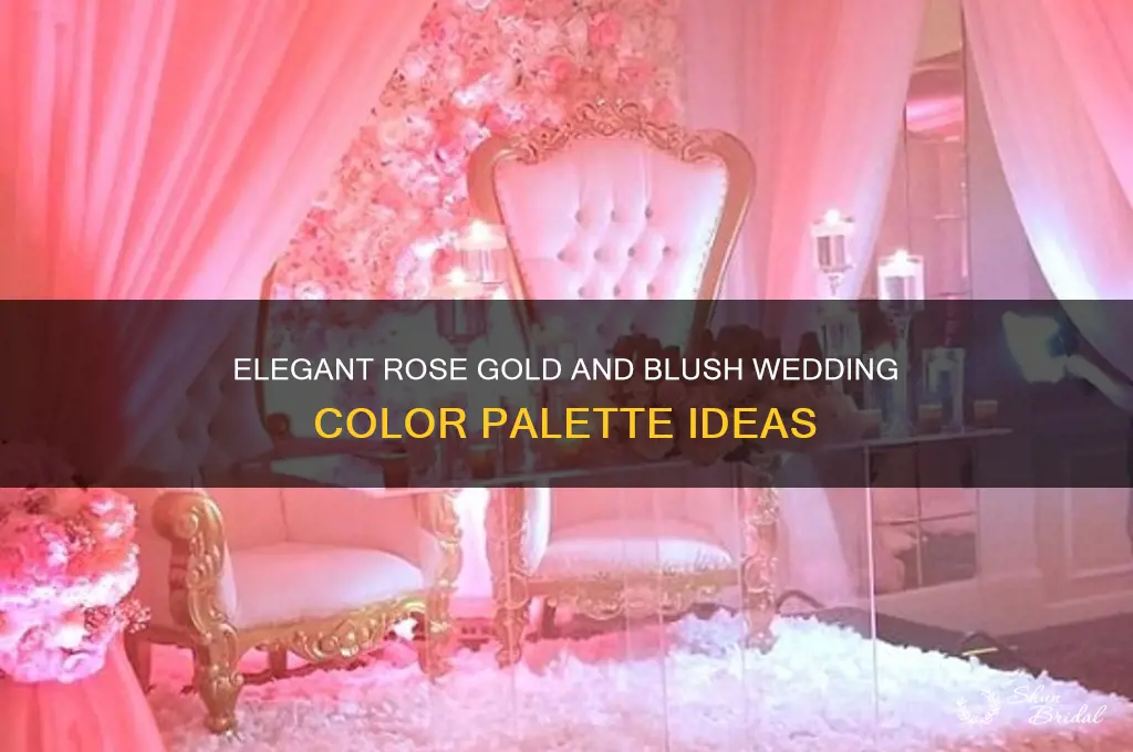 what color goes with rose gold and blush wedding