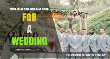 Elegant Sage Green Wedding Color Combinations: Perfect Pairings for Your Big Day