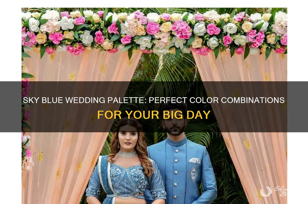 what color goes with sky blue for a wedding
