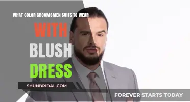 Blush Dress Harmony: Perfect Groomsmen Suit Colors for Your Wedding