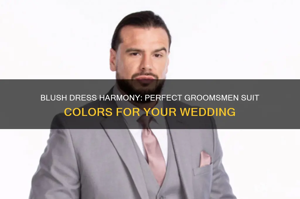 what color groomsmen suits to wear with blush dress
