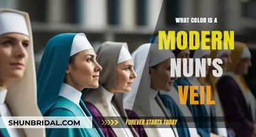 Modern Nun's Veil Colors: A Contemporary Religious Habit Guide