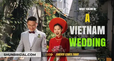 Exploring the Vibrant Colors of Traditional Vietnamese Wedding Celebrations