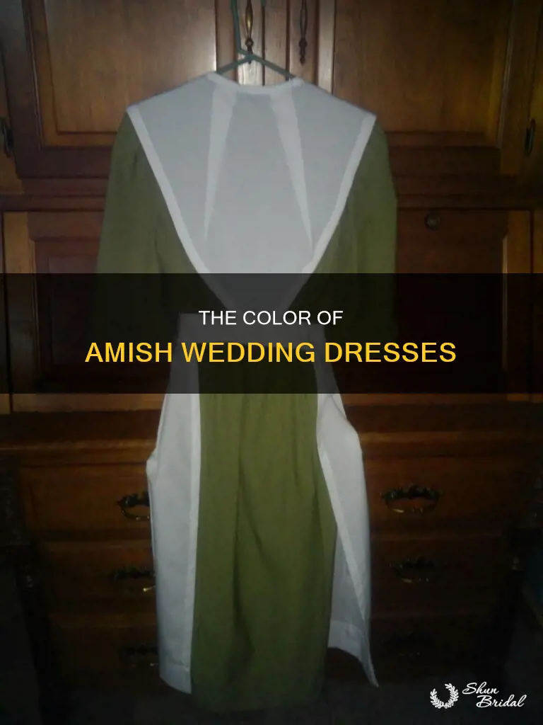 what color is an amish wedding dress