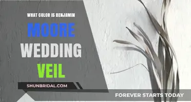 Benjamin Moore Wedding Veil: Unveiling the Perfect Soft White Hue