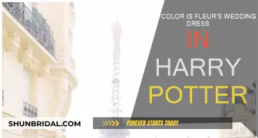 Fleur's Wedding Dress: The Color Mystery in Harry Potter