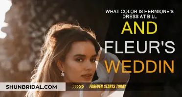 Hermione's Dress: Color at the Wedding