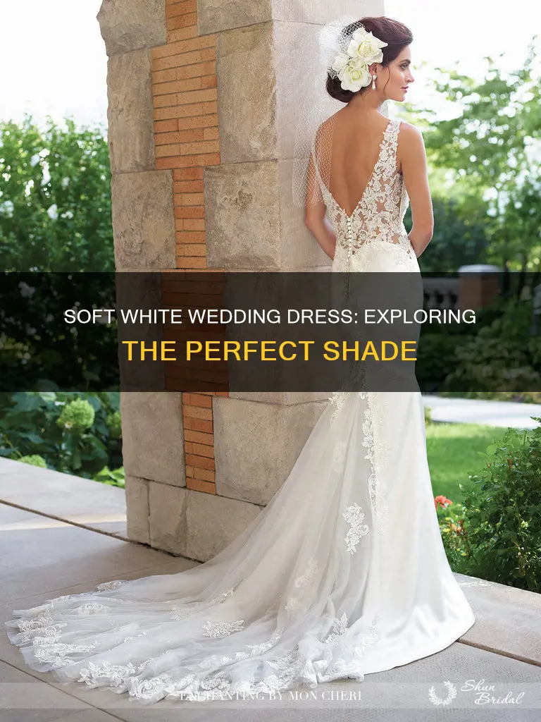 what color is soft white wedding dress