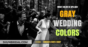 Spa and Gray Wedding Colors: Elegant Palette Ideas and Inspiration