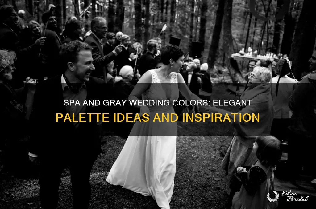 what color is spa and gray wedding colors
