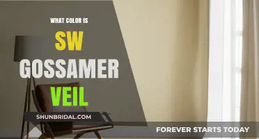 Discovering the Subtle Elegance of SW Gossamer Veil's Color Palette