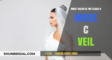 Understanding the Color of Class B Mode C Veil in Aviation
