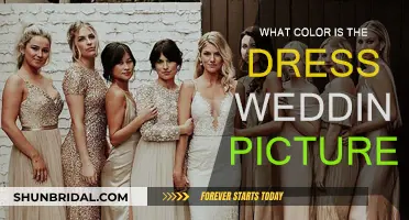 The Dress: What Color is it?