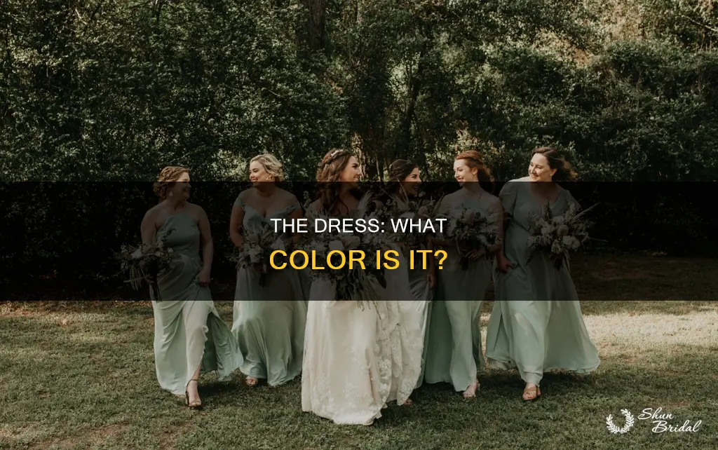 what color is the dress wedding picture
