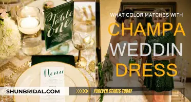 Champagne Wedding Dress: Perfect Color Combinations